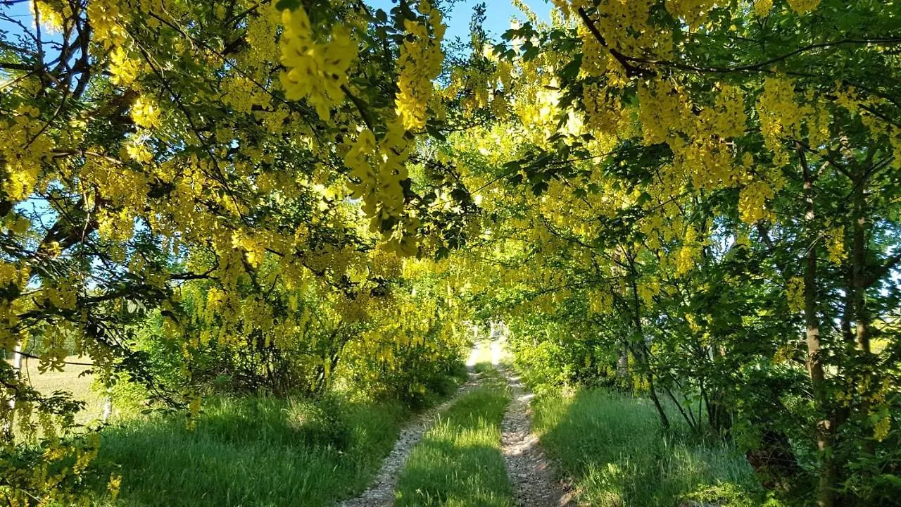 Farm stay Agriturismo Fattoria Ca Di Sole Villa San Benedetto Val di Sambro