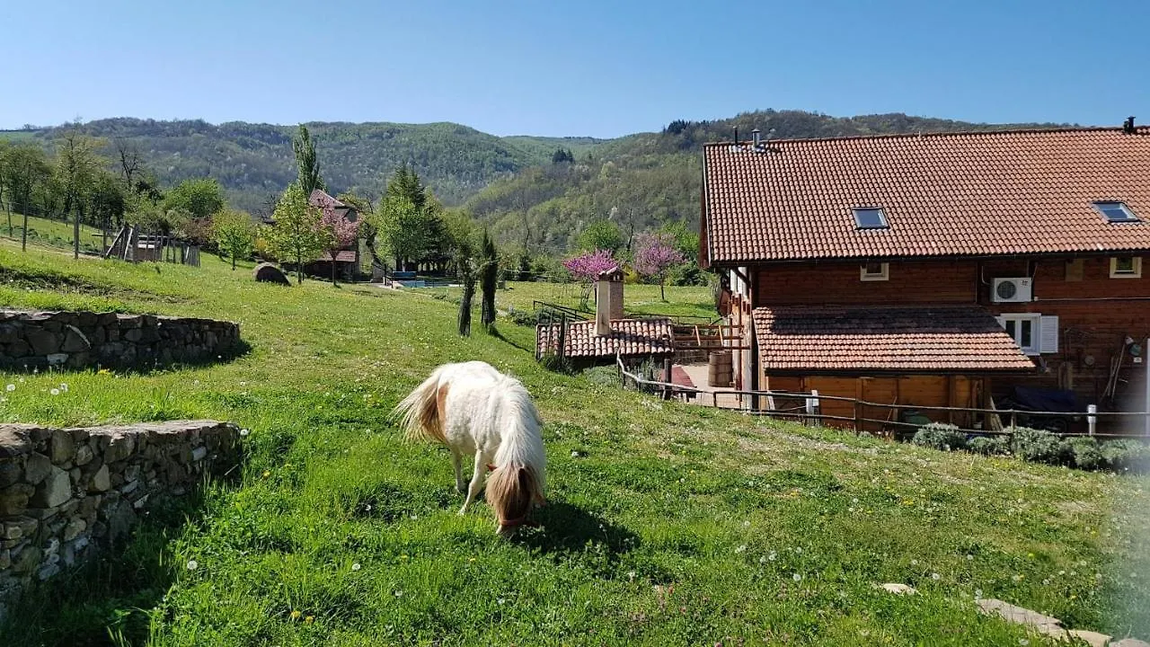 Agriturismo Fattoria Ca Di Sole Villa San Benedetto Val di Sambro Italy