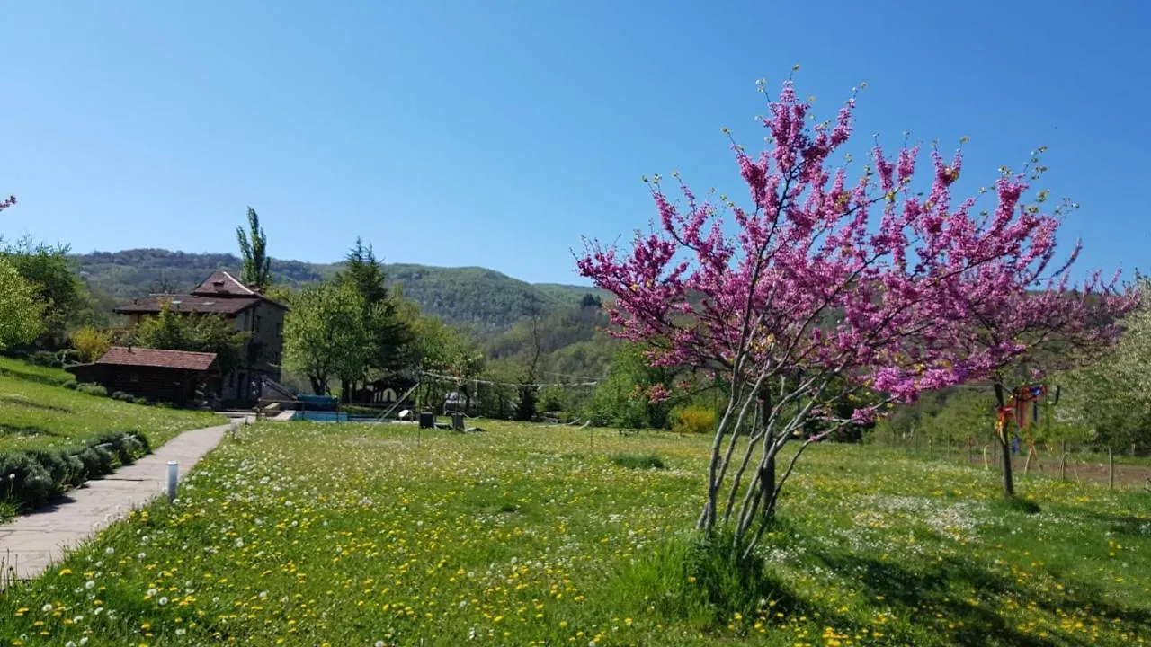مزرعة للإقامة Agriturismo Fattoria Ca Di Sole San Benedetto Val di Sambro