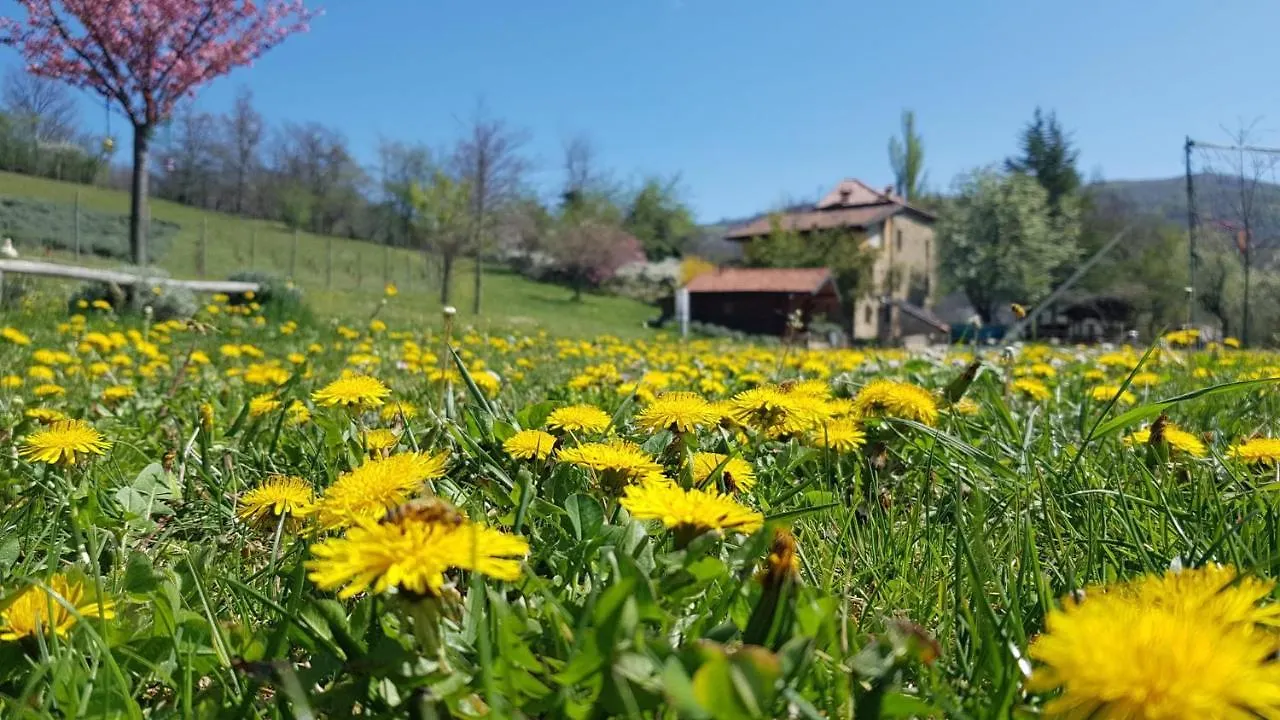 Agriturismo Fattoria Ca Di Sole San Benedetto Val di Sambro 0*,  Itálie